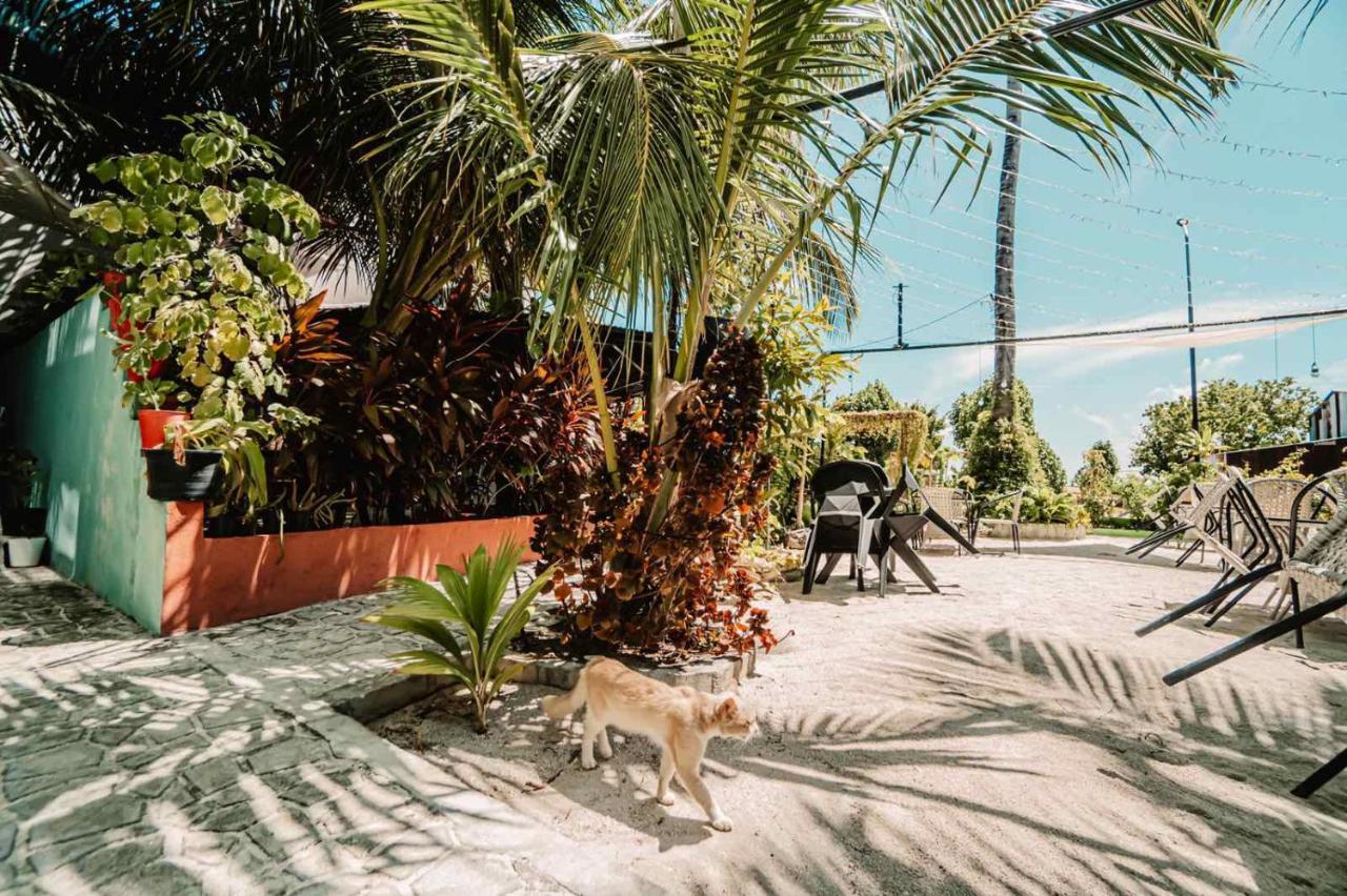 Oceana Boutique Hotel Maafushi Exterior foto
